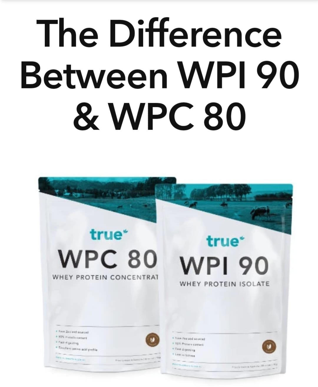 The difference between wpi 90 and wpc 80